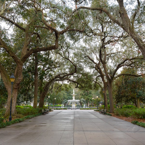 Fine Art Photo Print - Savannah Forsyth Park Picture | Choose Standard Print, Canvas, Metal or Acrylic | Georgia Wall Art Home Decor Images