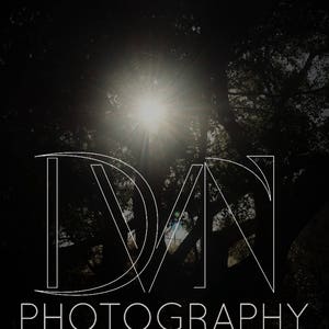 8x10 Tree Silhouette   - Landscape Photography, Fine Art, Silhouette  Print, Nature Home Decor, Wall Art
