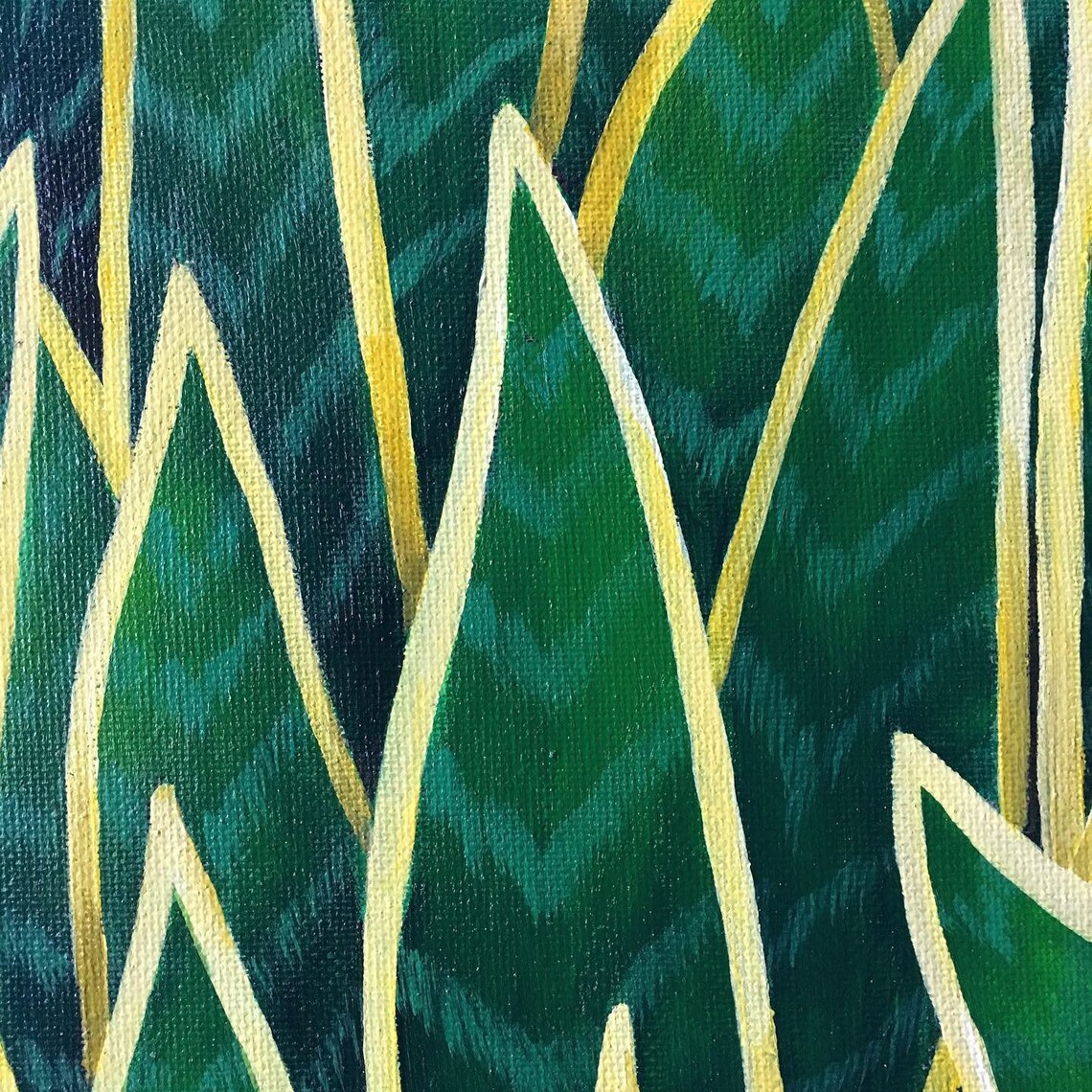 Snake Plants Etsy