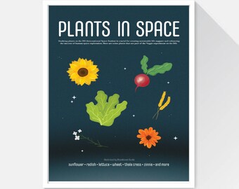 Plants in Space | Posters | Veggie Experiment | ISS