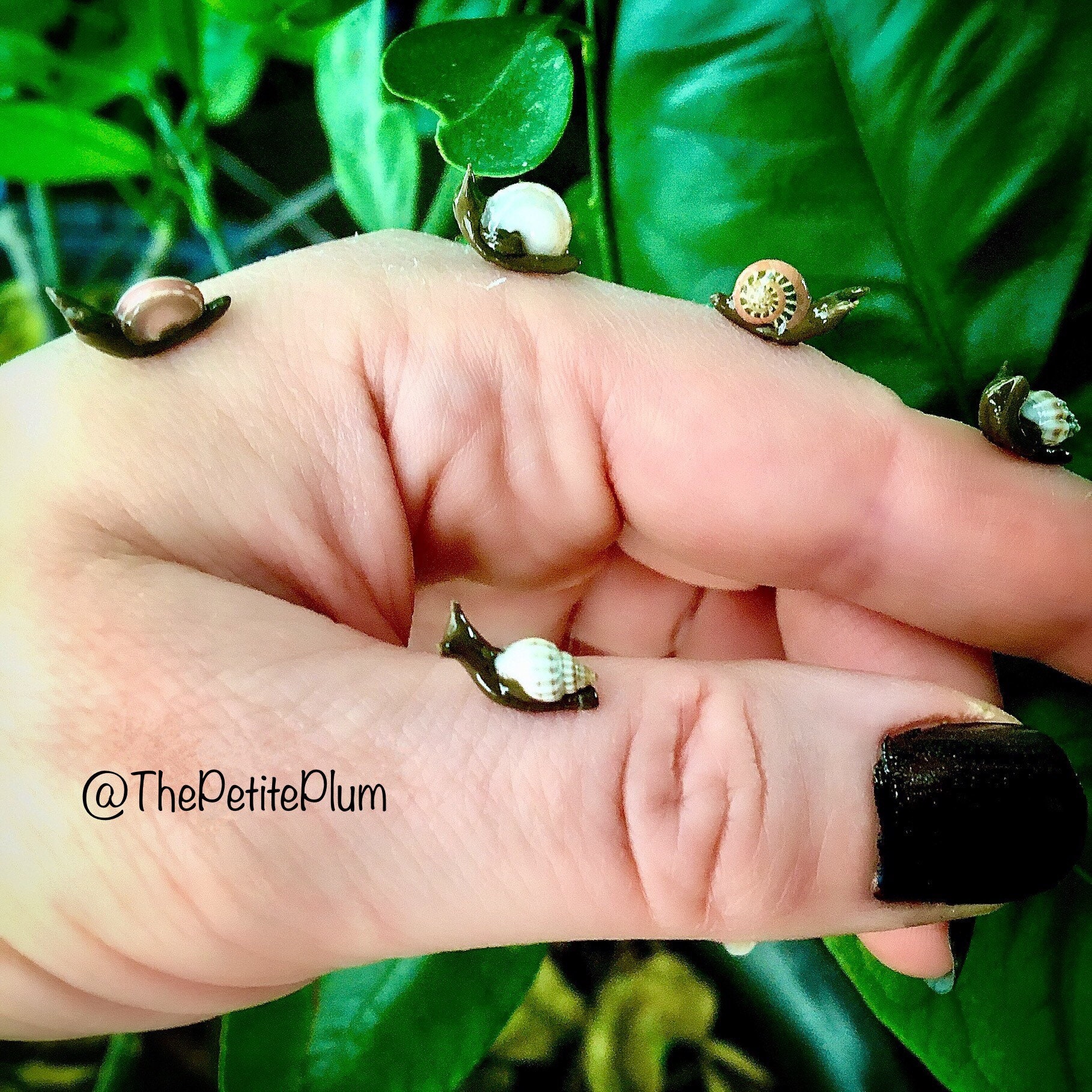 Miniature Snail / Handmade / Polymer Clay / Dollhouse / Fairy - Etsy