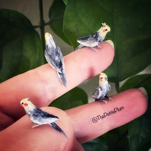 Miniature / pet / bird / birds / animal  / cockatiel / mini / dollhouse/ cockatoo / handmade / miniatures