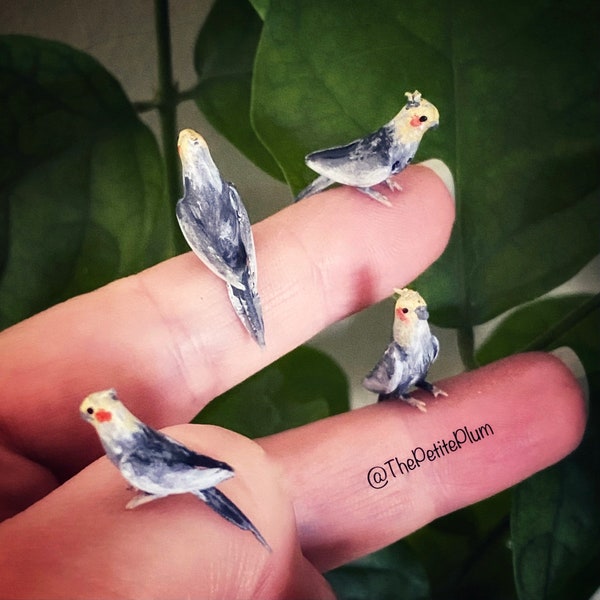 Miniature / pet / bird / birds / animal  / cockatiel / mini / dollhouse/ cockatoo / handmade / miniatures