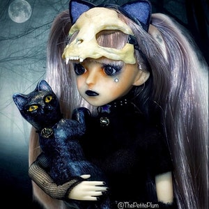 BJD doll / full set / 1/6 posable art doll / ball jointed doll / gothic / cat