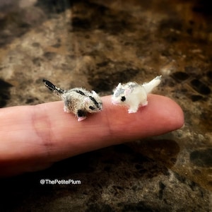 Miniature / Sugar Glider / flying squirrel / dollhouse/ miniatures / scale