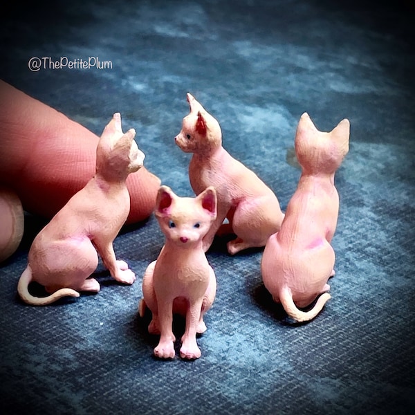 Miniature / Sphinx / cat / kitten / hairless / animals / dollhouse / miniatures / scale / art / handmade