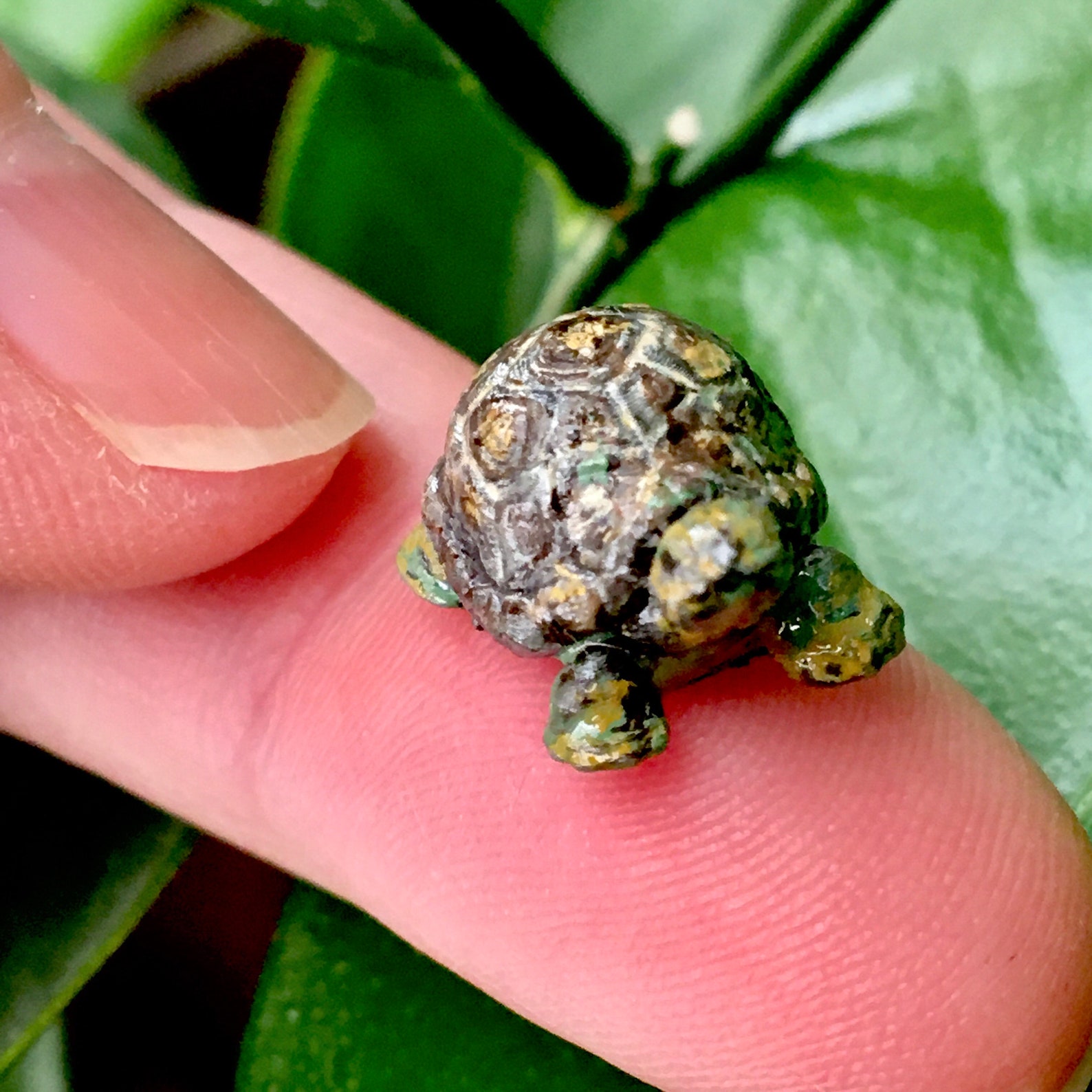 Miniature / tortoise / turtle / animal / pet / mini / Etsy