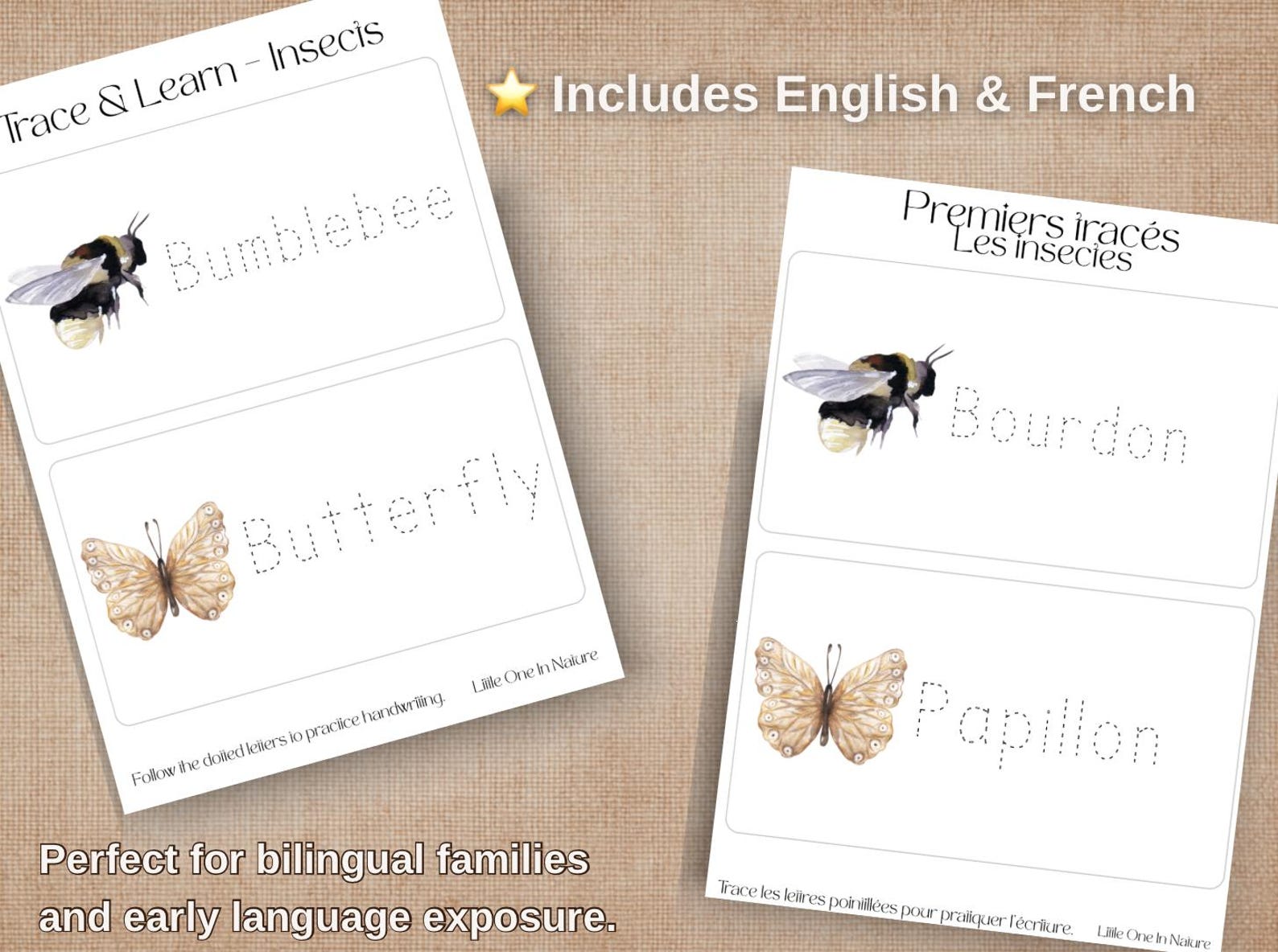Insect Fine Motor Bundle Printable, Scissor Skills, Tracing, Lacing ...