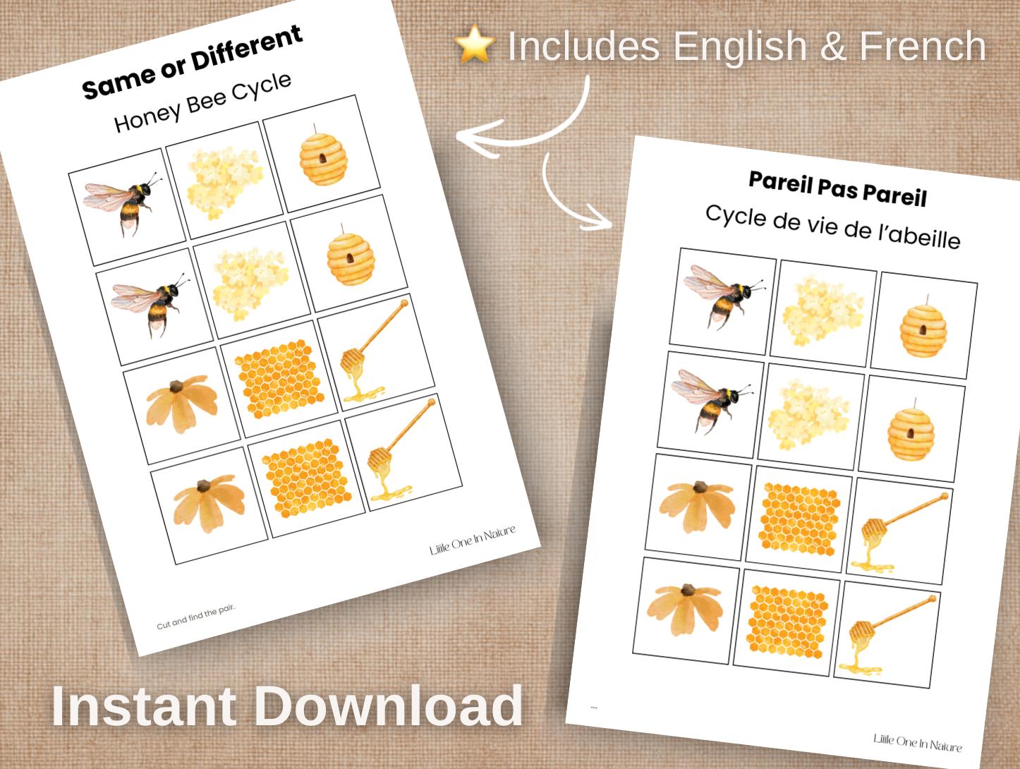 Bee Matching Game Printable | Preschool Bee Activity | Montessori ...