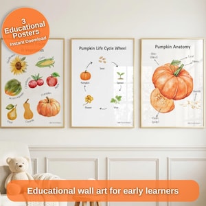 Peut inclure: Trois affiches éducatives avec des illustrations botaniques de fruits, de légumes et de citrouilles. Les affiches incluent le cycle de vie et l'anatomie de la citrouille. Le texte "Educational wall art for early learners" est affiché.