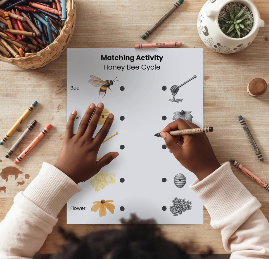 Bee Matching Game Printable | Bee Life Cycle Activity | Preschool ...