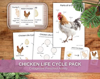Huhn-Lebenszyklus-Aktivitäten für Kinder - Vorschul-Farm-Unit-Studium Cottagecore, Montessori druckbar, Homeschool-Wissenschaft, beschäftigtes Buchpaket