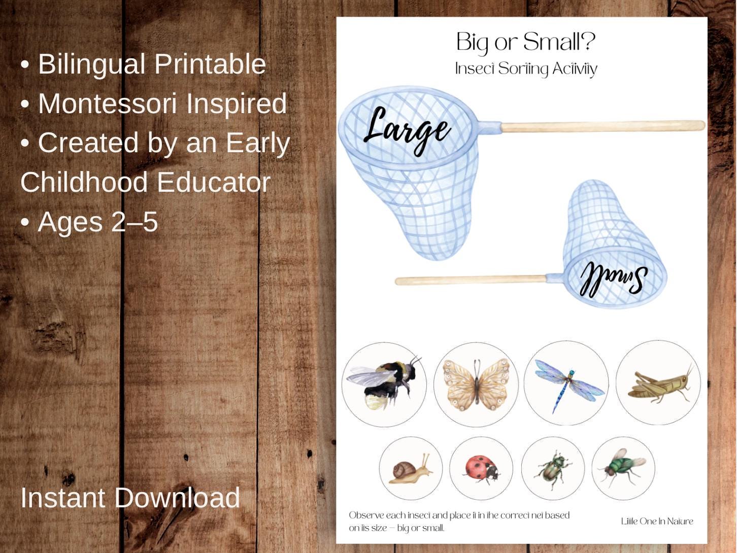 Insect Size Sorting Montessori Insect Sorting Activity Printable – Big or Small Game ...