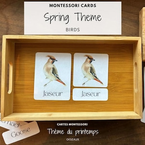 May include: Montessori cards with a spring theme featuring birds. Two cards show a detailed watercolor illustration of a bird labeled "Jaseur". The cards are in a wooden tray. The top card reads "Spring Theme Birds".