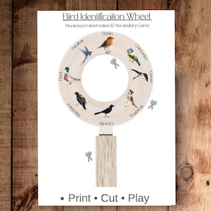 Könnte beinhalten: Ein Vogel-Identifikationsrad mit Illustrationen verschiedener Vögel, darunter Rotkehlchen und Ente. Das Rad ist mit Vogelnamen beschriftet und enthält den Text "Print • Cut • Play".