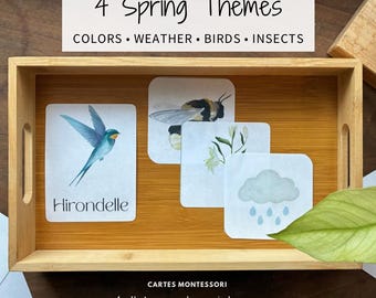 Tarjetas Montessori de 3 partes Naturaleza Preescolar • Tarjetas didácticas Nomenclatura Tarjetas didácticas PDF imprimibles Juguetes Montessori preescolar