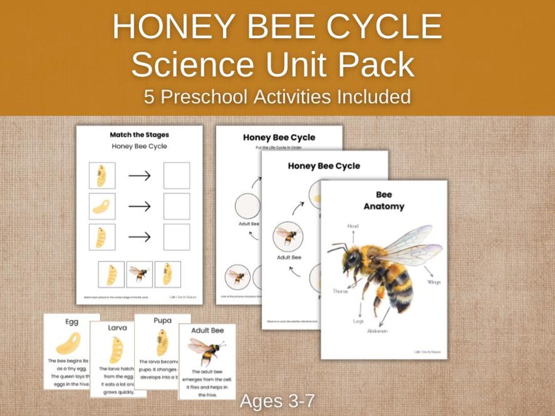 Bee Life Cycle Unit Study Printable | Montessori Bee Activities Bundle ...