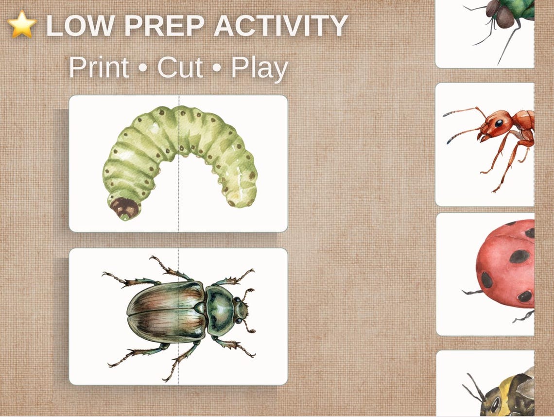 Insect Fine Motor Bundle Printable, Scissor Skills, Tracing, Lacing ...