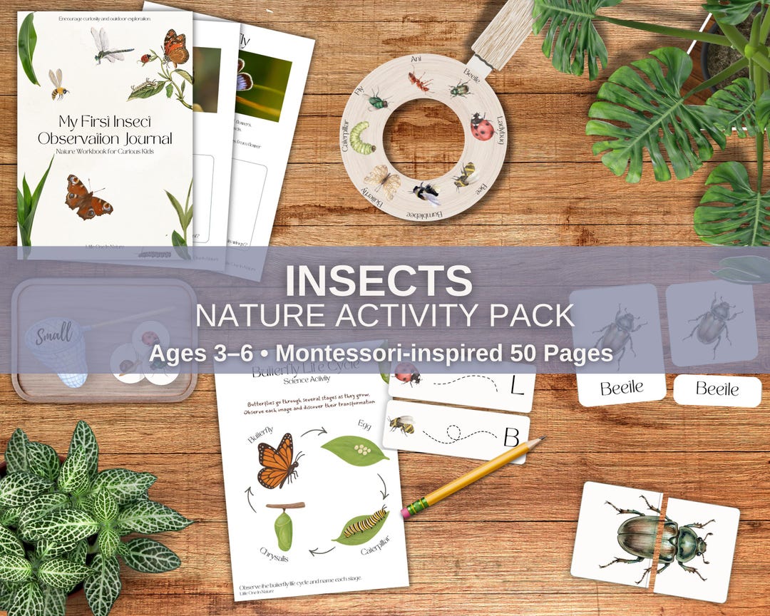 Insect Unit Study, Preschool Science Curriculum (PDF Download ...