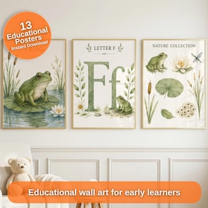 Pode incluir: Três cartazes educativos de parede com temas da natureza. O primeiro mostra um sapo verde numa folha de nenúfar. O segundo exibe a letra F com um sapo e folhagem. O terceiro é uma coleção da natureza com um sapo, um nenúfar e uma libélula.