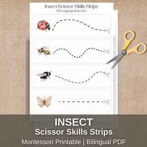 Insect Scissor Skills Cutting Strips Printable, Preschool Fine Motor Activity, Montessori Cutting Practice, Toddler Worksheets, Ages 3-5