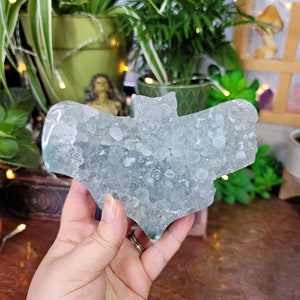 Quartz Druzy Bat (snow sparkly)  # C-811.1