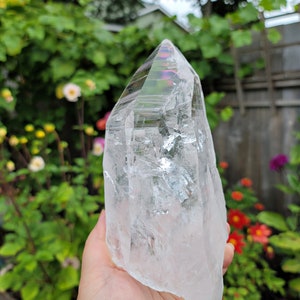 XL Lemurian Timelink Window Crystal Diamantina Region Brazil  # C-937