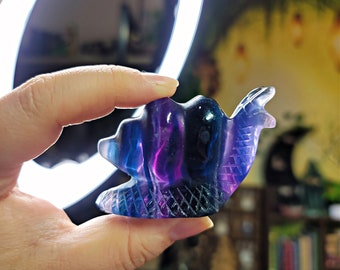 Fluorite Snails  # C-830