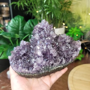 Hermosa pieza de flor de amatista con puntos brillantes # C-995.3