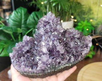 Wunderschönes Amethyst-Blumenstück mit glänzenden Punkten # C-995.3