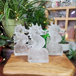 Large Clear Quartz Seahorse  # C-716