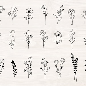 野生の花のバンドル SVG PNG ファイル、カッティング マシン、デジタル クリップアート、花、野生の花、花と葉