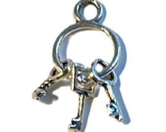 HANNIBAL / Matthew Brown Carcelero Llaves Charm / Charm Llavero / Tirador de Cremallera / Charm Bolso / Regalo Fannibal