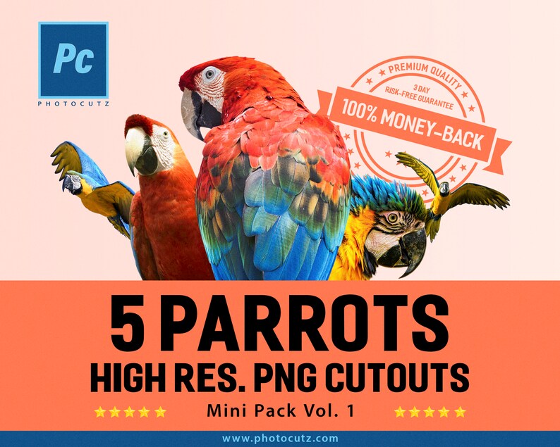 Photoshop PNG Cutouts Overlays Parrots High Res Mini Pack Volume 1 for Creative Photography