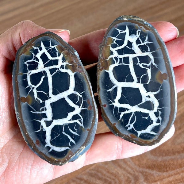 1 pair of Septarian Stones - Septarian Nodule -  Crystal Nodules - Septarian Mineral -  Dragon Stone - Mineral Specimen - Crystal Egg