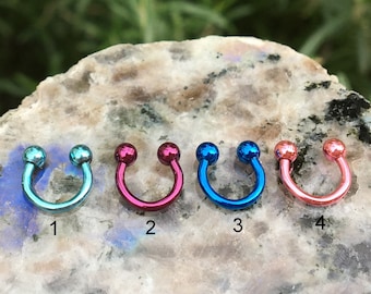 Horseshoe Septum Ring, Barbell Septum Ring, Tragus Earring, Septum Piercing, Tragus Piercing, Horseshoe Circular Barbell, Conch, Rook, Snug