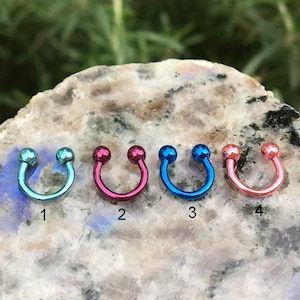 Horseshoe Septum Ring, Barbell Septum Ring, Tragus Earring, Septum Piercing, Tragus Piercing, Horseshoe Circular Barbell, Conch, Rook, Snug