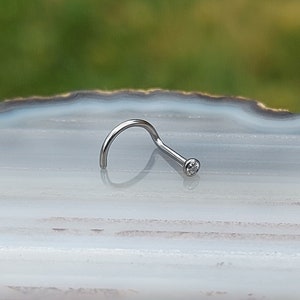 May include: A silver nose ring with a small clear gemstone.