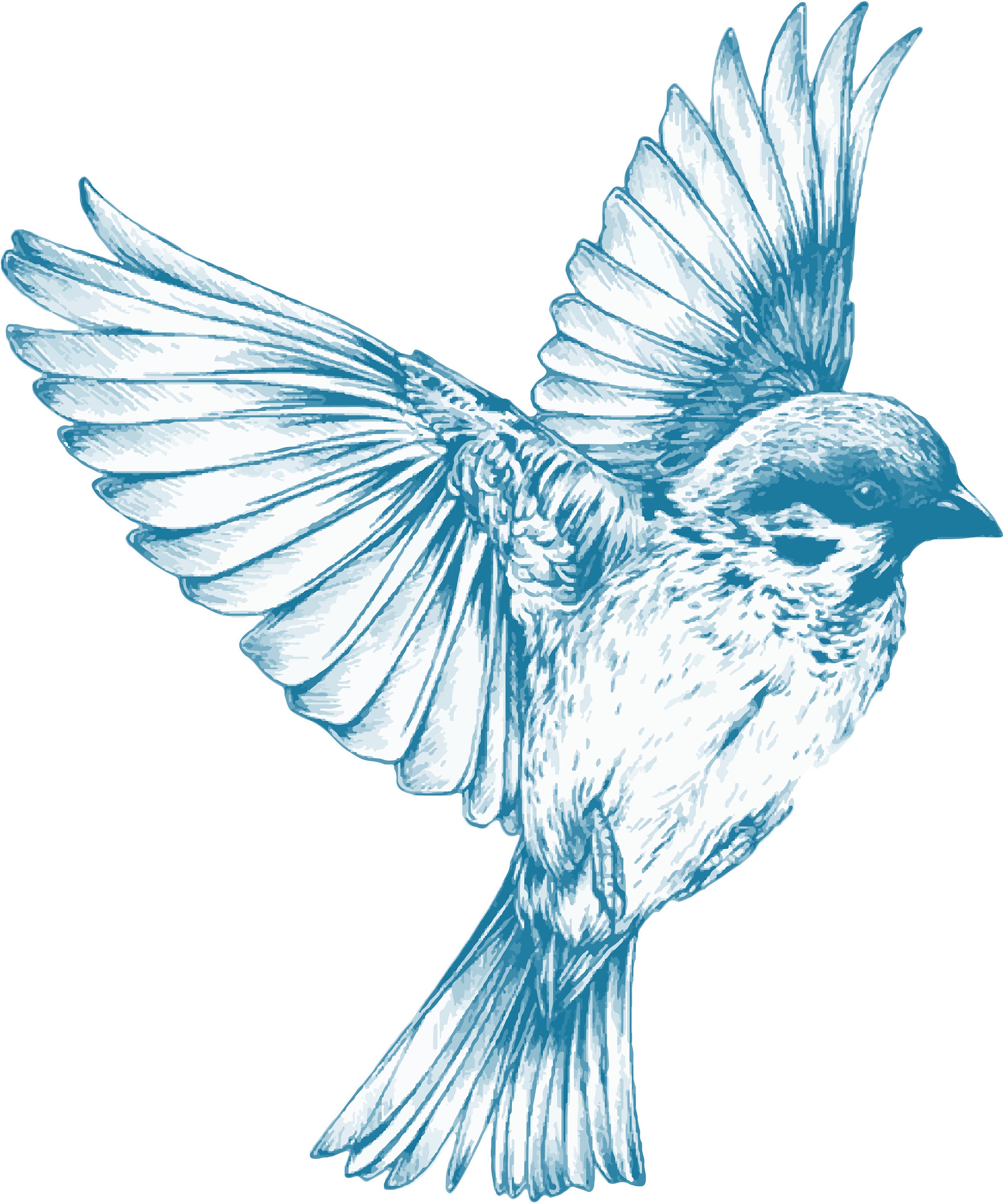Vintage Blue Bird Clipart in SVG, EPS, PNG - Etsy