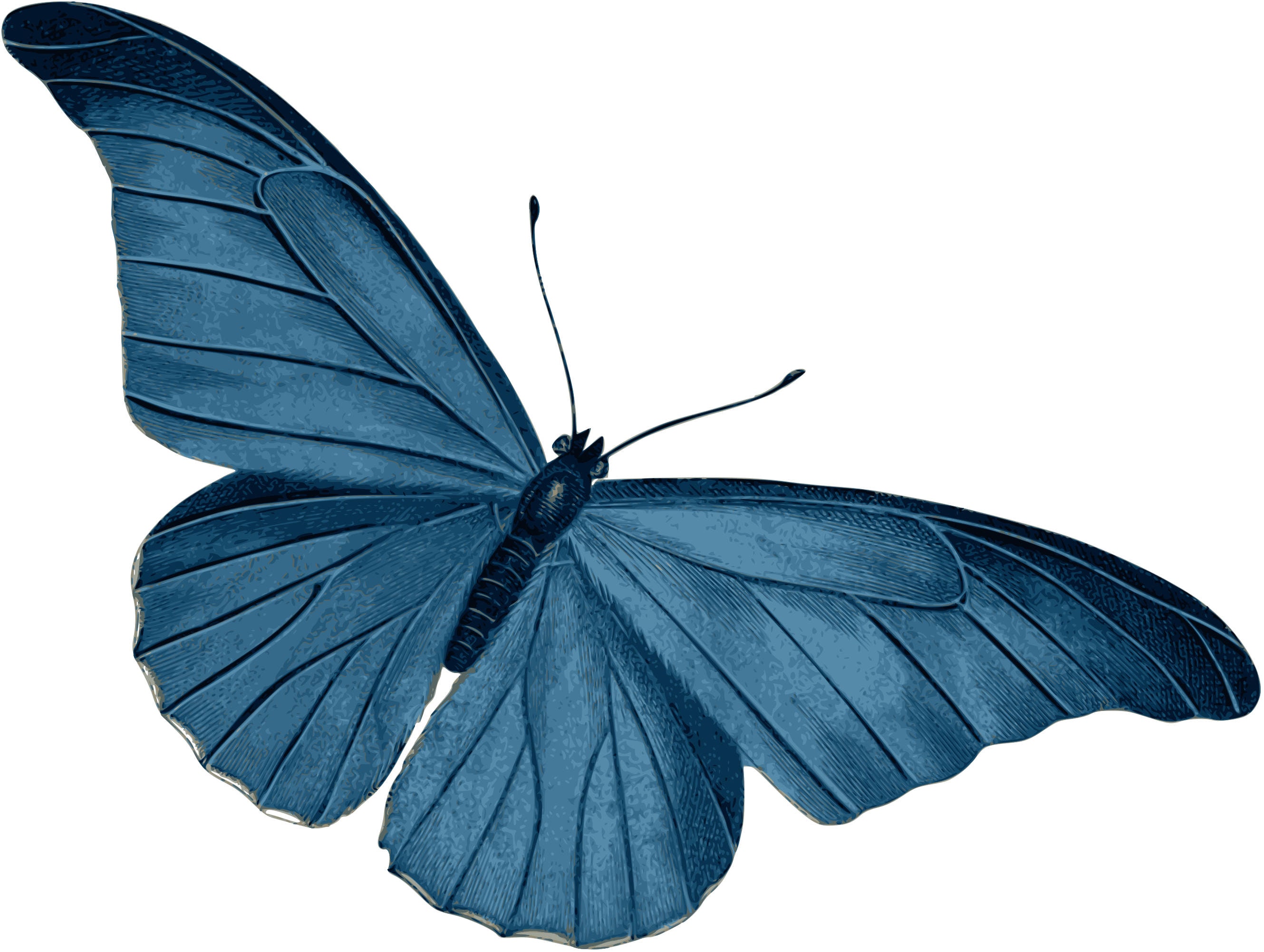 Download Vintage Blue Butterfly Clipart In Svg Eps Png Etsy