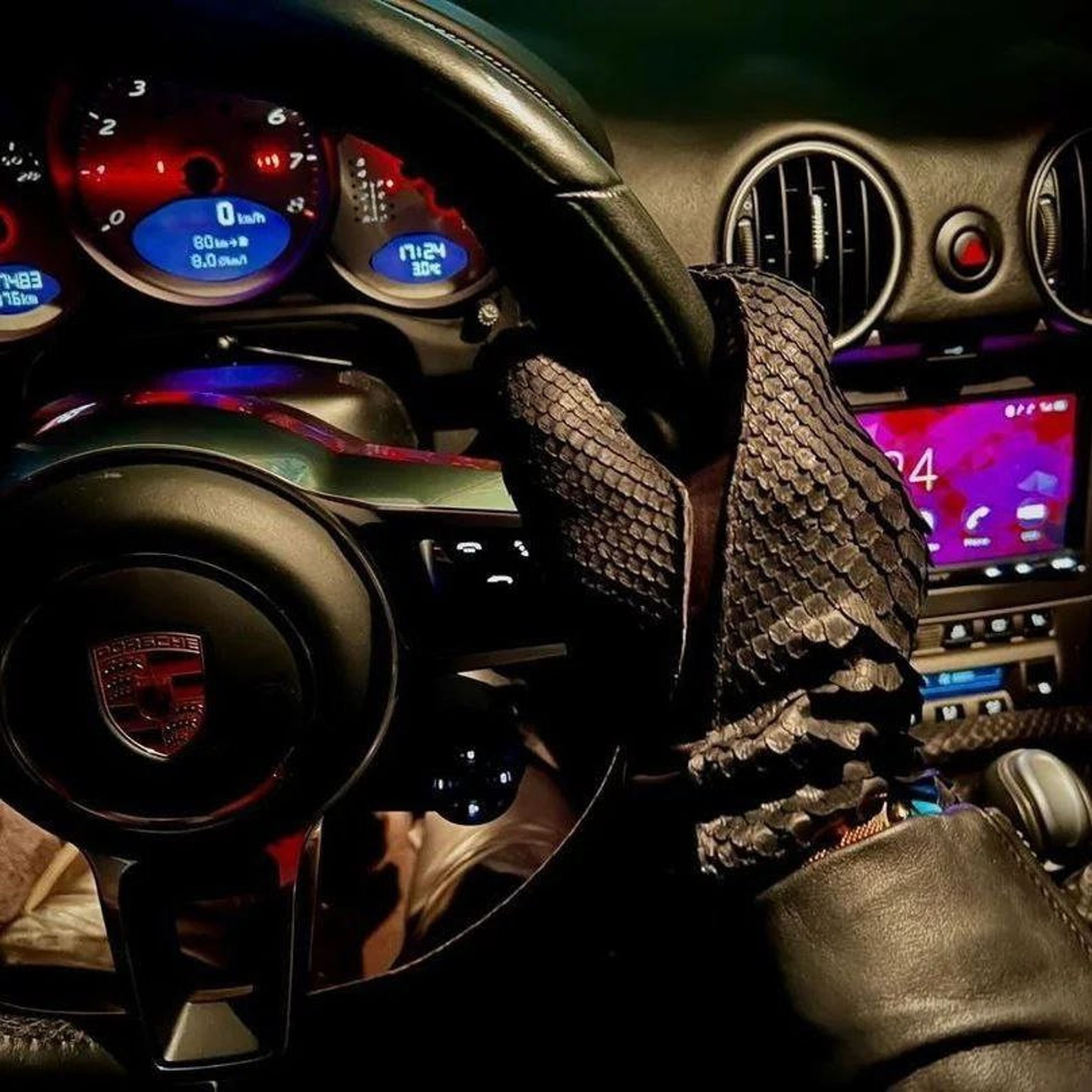 python glove load at paul brower blog Images High... LIMITED Python Driving Gloves +GIFT, Luxury Leather Unisex Gloves ...