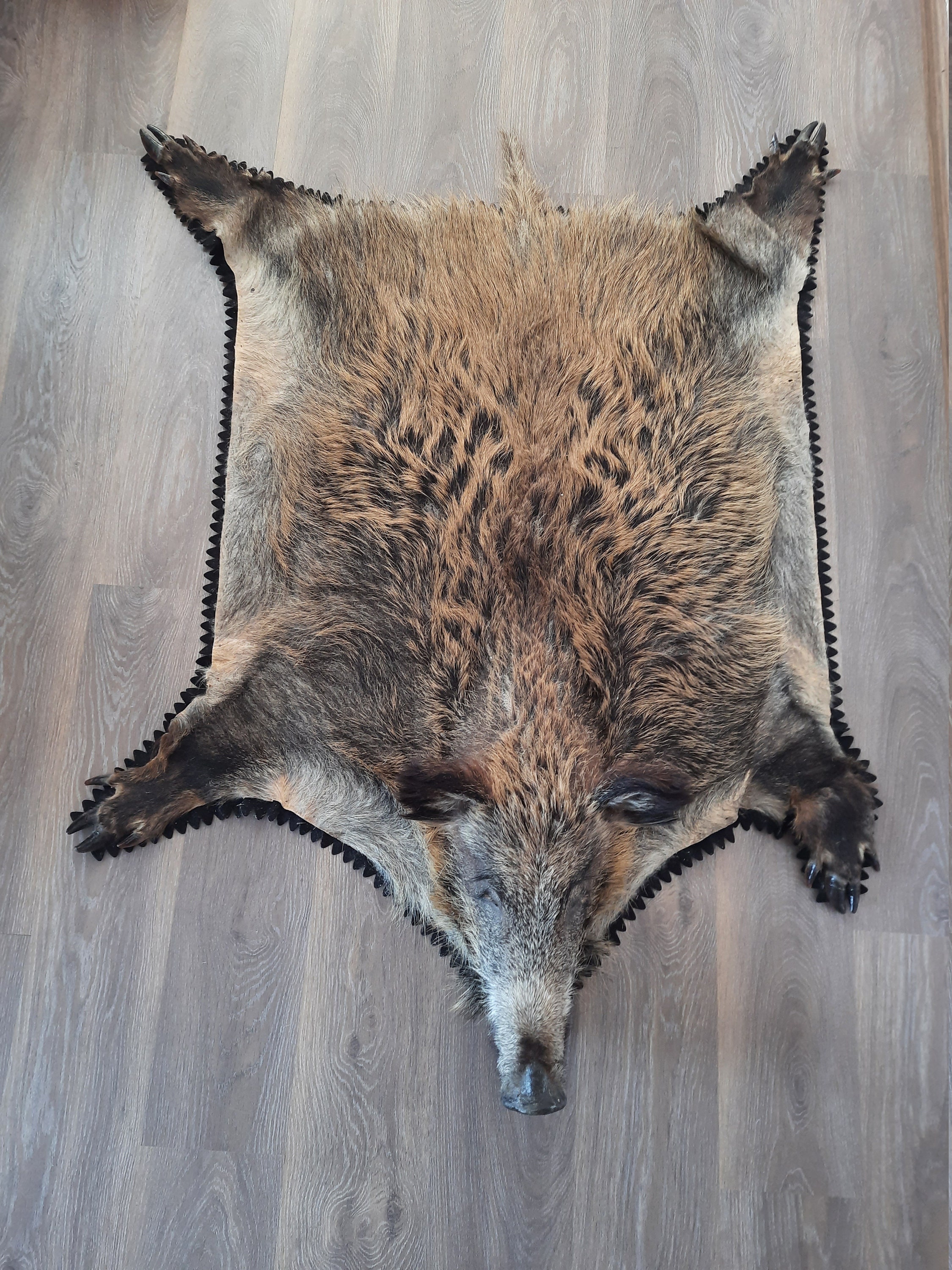 Wild boar rug. Giant Wild Boar Carpet Wild Boar Pelt Etsy