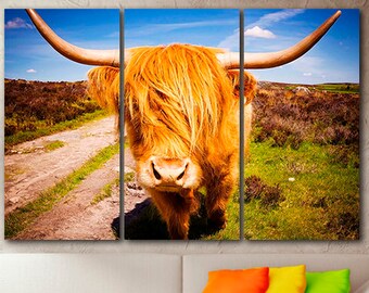 Highland Kuh Druck Tiere Wand kunst Stier Druck Coole Leinwand Highland Kuh Kunst Kuh Wand Dekor Highland Rinder Kunst Schottische Kuh Kunst Geschenk an Mann