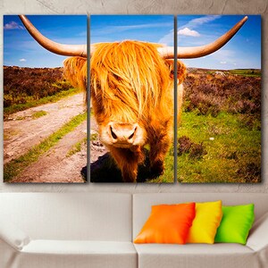 Highland cow print Animals wall art Bull print Cool canvas Highland cow art Cow wall decor Highland cattle art Scottish cow art Gift to man