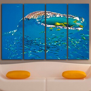 3 セットのサメ水彩画プリントアートクジラ魚動物イラスト海の生物