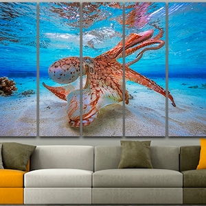 Op de afbeelding: Een meerpaneels canvasprint met een octopus met oranje en bruine markeringen, die zwemt in blauw water met een zanderige bodem.