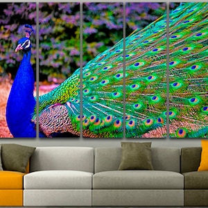 Peacock blue art 5 panel canvas Peafowl decor Indian peafowl art Gallery wall set Peacock photo Feathered art Peafowl poster Wildlife print