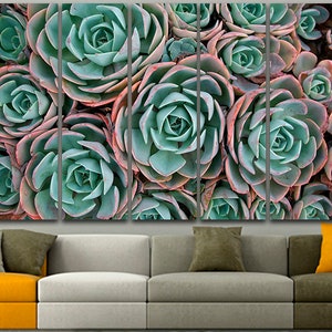Succulent canvas set Flower wall print Printable suculent Flowers decor Gift for florist Nature wall art Printable botanic Succulent poster