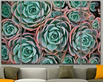 Succulent canvas set Flower wall print Printable suculent Flowers decor Gift for florist Nature wall art Printable botanic Succulent poster