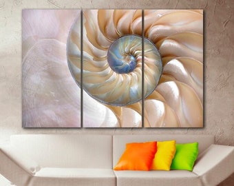 Shell canvas Seashell wall art Nautilus shell Sea shell art Abstract wall decor Elegant print Shell poster Beach art Spiral seashell art